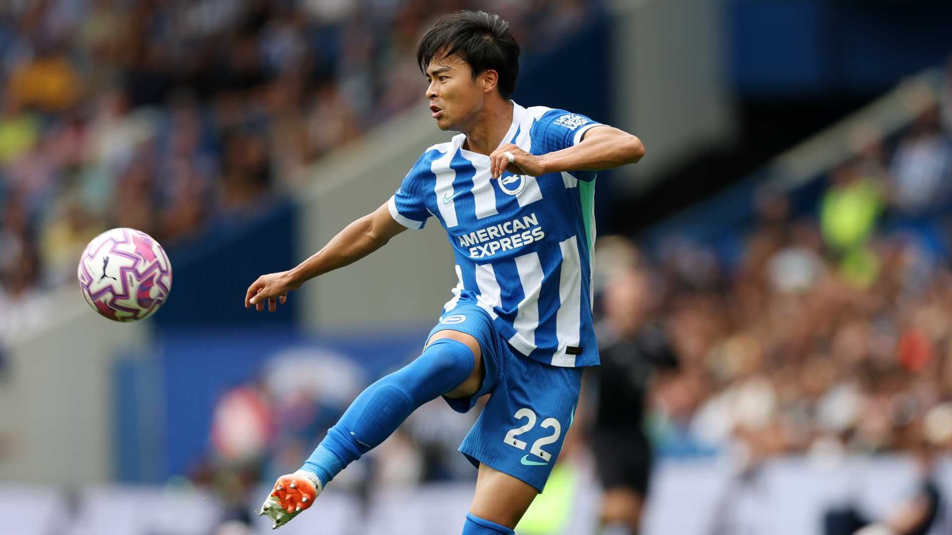 公式購入】プレミアムリーグ ブライトン 青いカメ ぬいぐるみ 三笘薫 公式購入】プレミアムリーグ ブライトン 青いカメ ぬいぐるみ 三笘薫